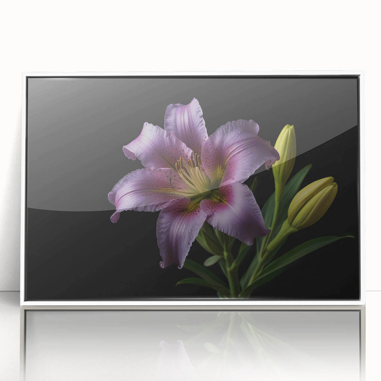 Framed wall art showcasing a botanical lily design in vibrant colors, set against a white background, perfect for enhancing modern home decor.