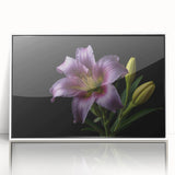 Framed wall art showcasing a botanical lily design in vibrant colors, set against a white background, perfect for enhancing modern home decor.