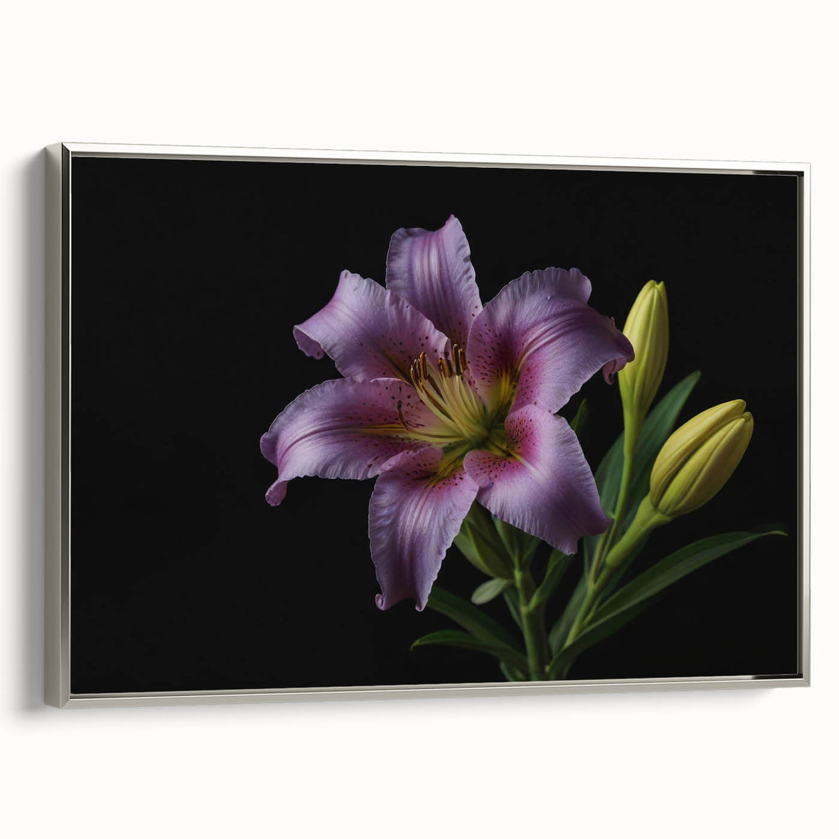 Framed wall art featuring a botanical lily design in elegant silver frame, showcasing vibrant floral colors and intricate details, perfect for home decor.