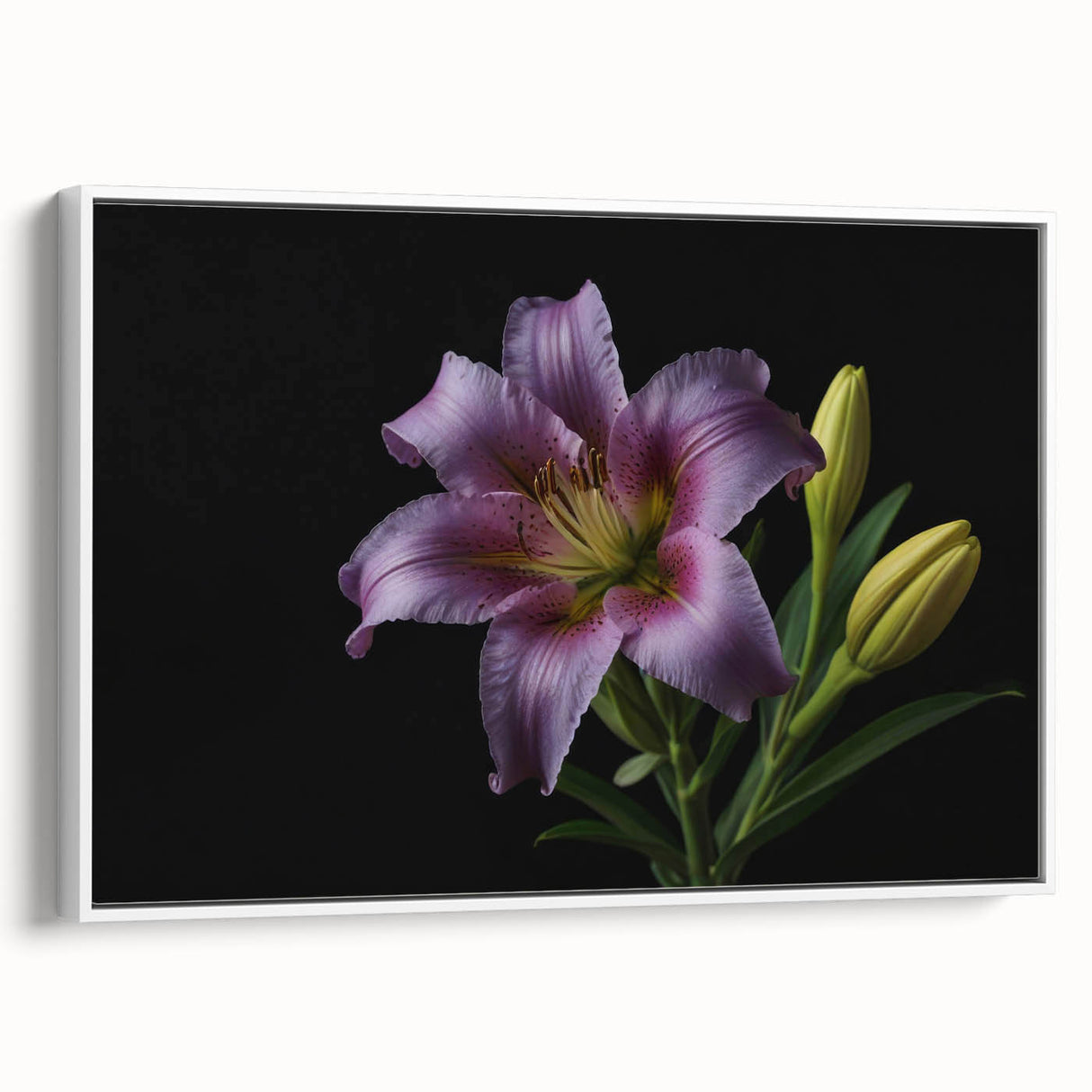 Framed canvas wall art showcasing a botanical lily design in vibrant colors, featuring a stylish white frame. Ideal for enhancing modern home decor.