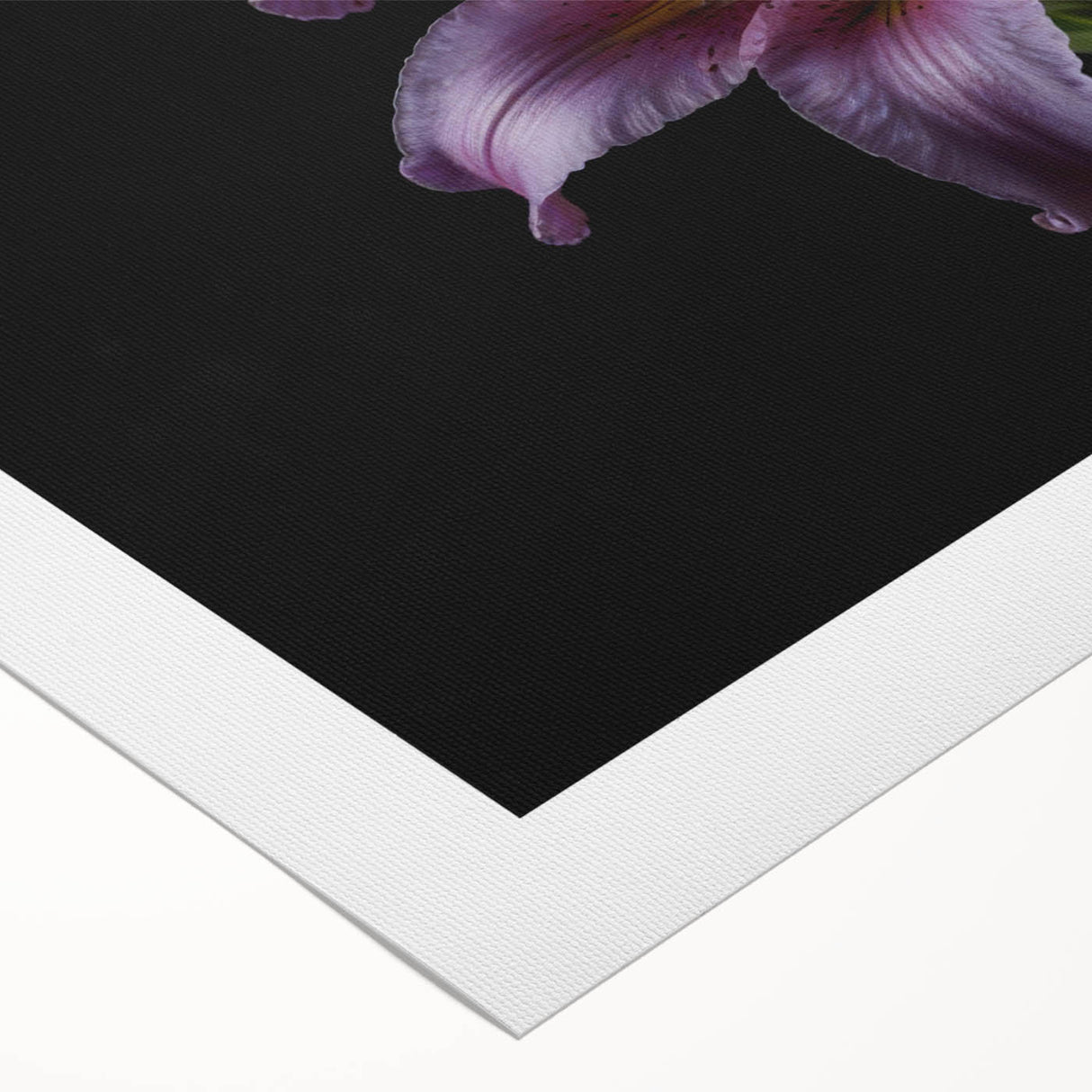 Botanical wall art featuring a vibrant lily design on a rolled canvas, showcasing intricate floral details and vivid colors, ideal for home decor enhancement.