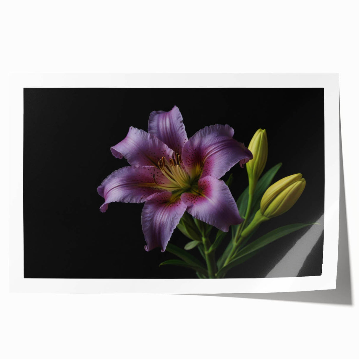 Botanical wall art featuring a vibrant lily design with intricate details, perfect for home decor. The print showcases rich colors and elegant floral patterns, ideal for enhancing interior spaces.