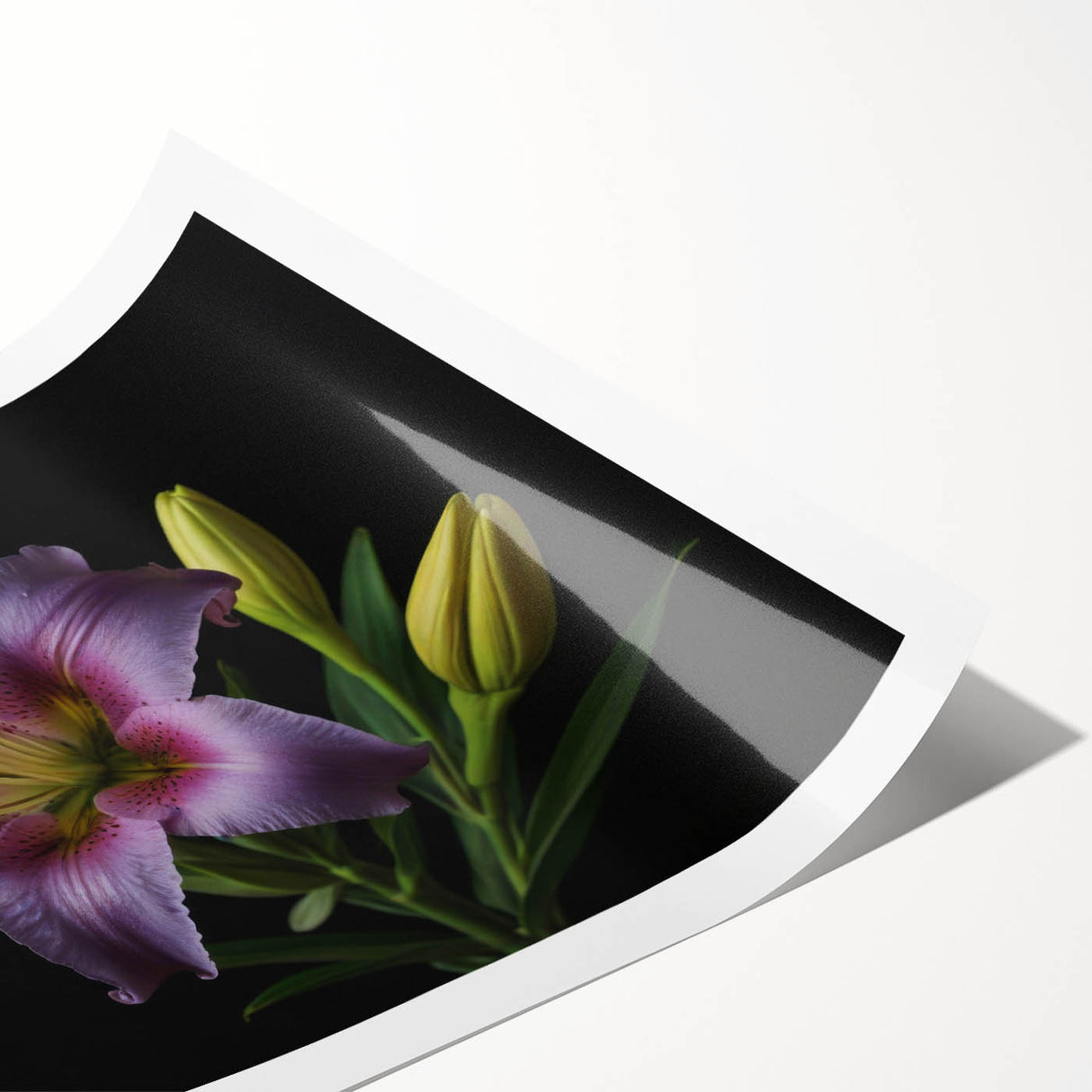 Botanical wall art print featuring a vibrant lily design, showcasing intricate floral details and soft color gradients, rolled for easy framing and display.