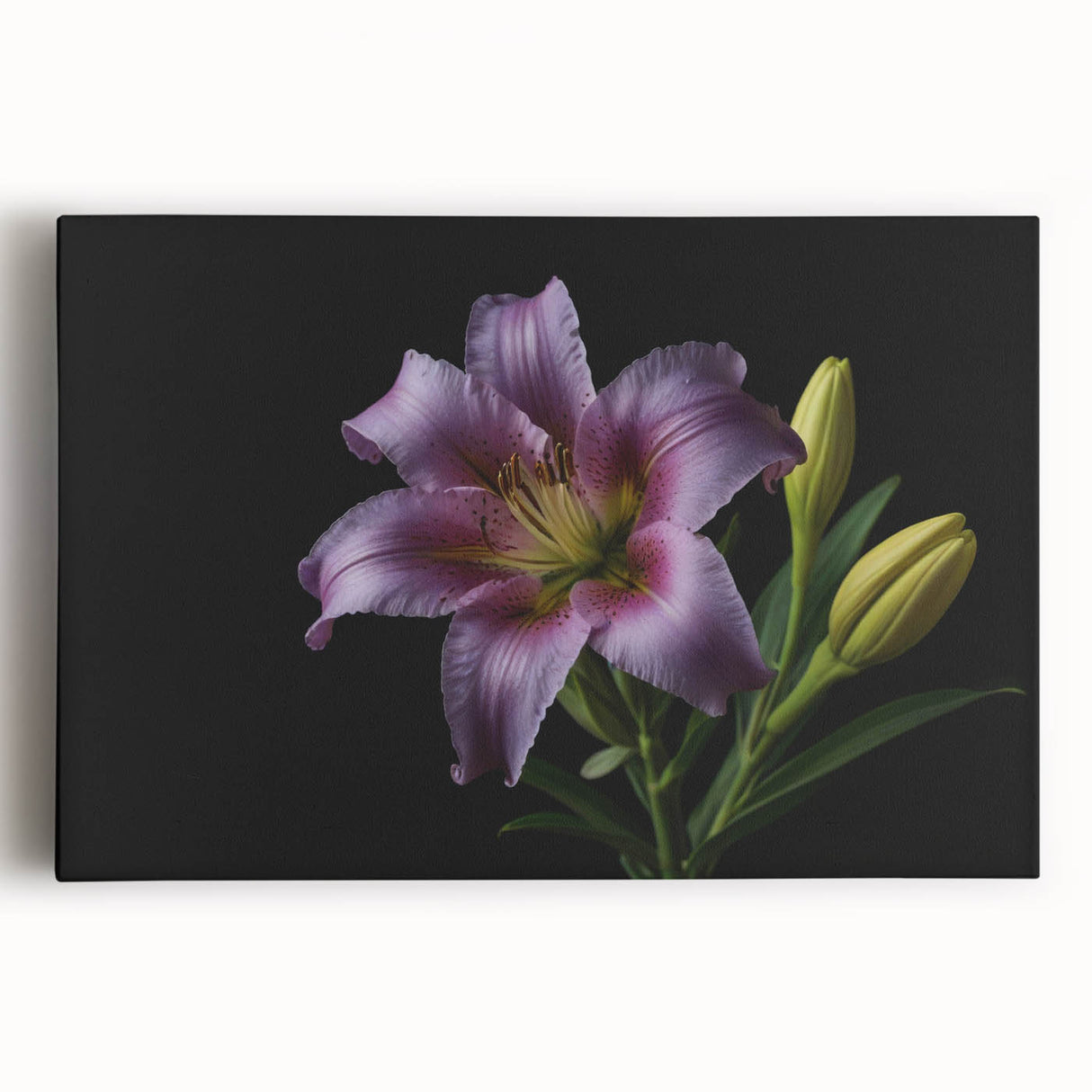 Stretched canvas wall art featuring a vibrant botanical design of lilies in soft colors, ideal for home decor, creating a serene and elegant atmosphere.