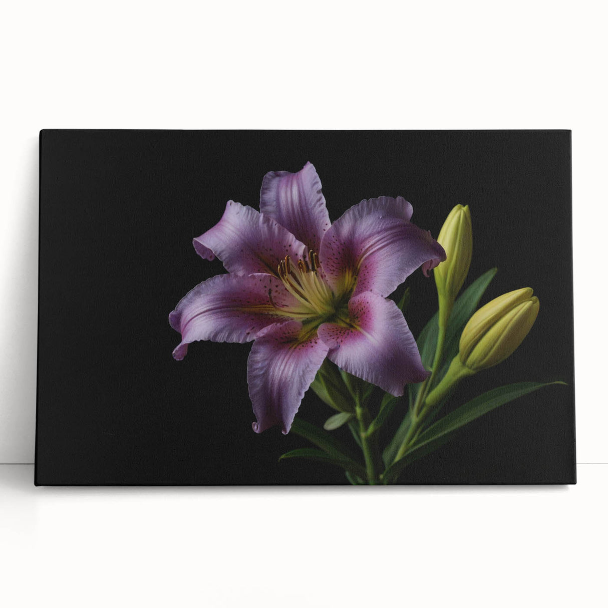 Stretched canvas wall art showcasing a botanical lily design, featuring vibrant colors and intricate details, perfect for home decor and nature enthusiasts.