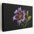 Lily floral wall art on stretched canvas, showcasing vibrant colors and intricate botanical details, ideal for home decor or nature-inspired spaces.