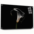 Side view of a botanical lily wall art collection displayed in acrylic glass, showcasing vibrant colors and delicate details, perfect for home décor enhancement.