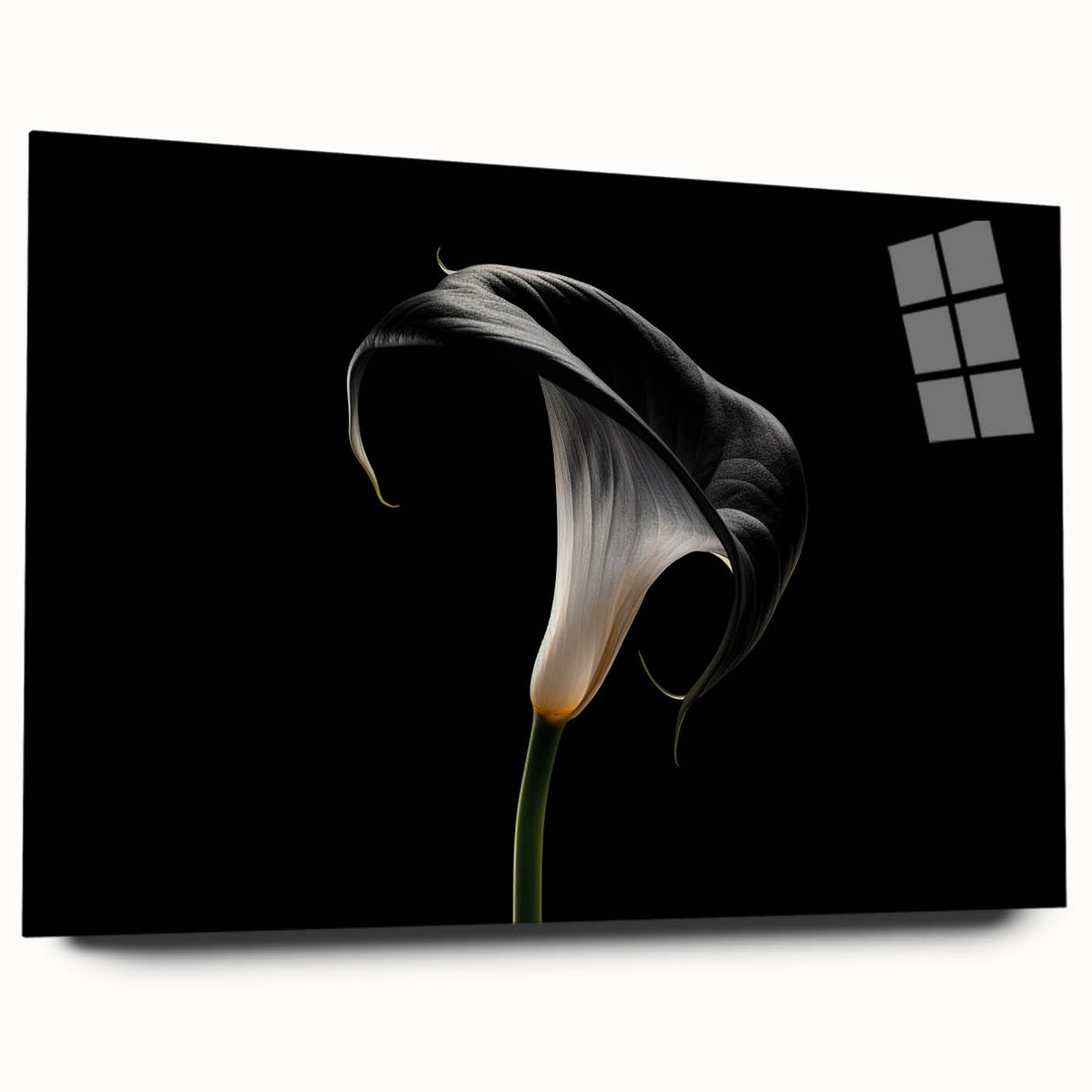 Side view of a botanical lily wall art collection displayed in acrylic glass, showcasing vibrant flower designs with a modern aesthetic, perfect for home decor.