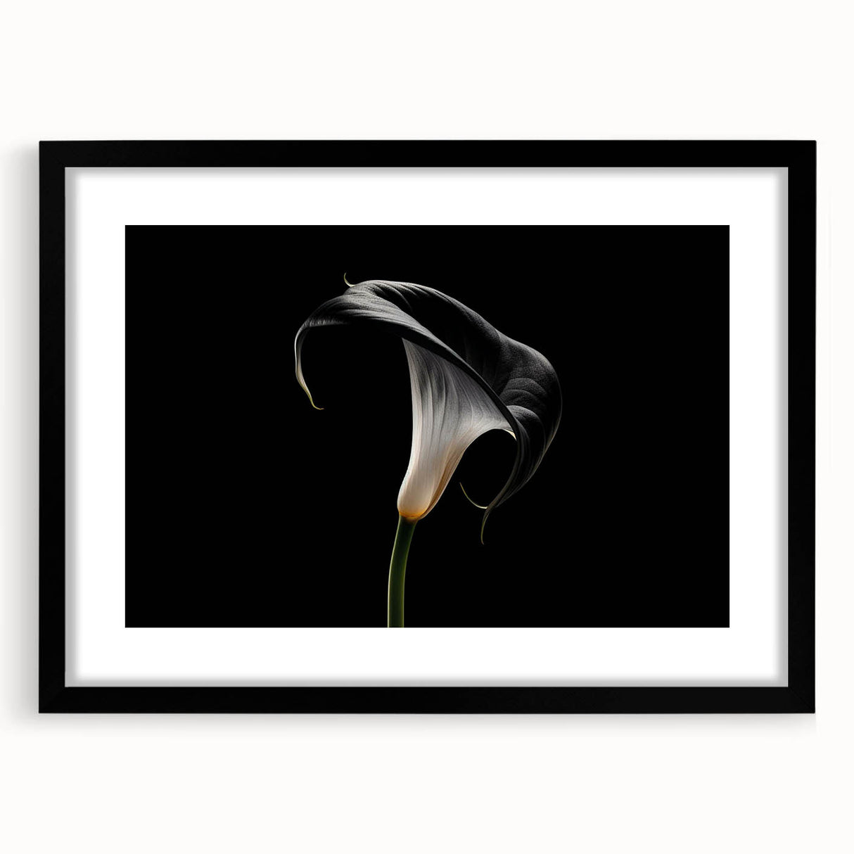 Botanical wall art collection featuring elegant lily designs in a black frame with a mat, showcasing intricate floral details and modern aesthetics for home decor.