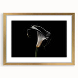 Elegant botanical wall art featuring a gold-framed lily design, perfect for home decor. The artwork is set in a chic mat, enhancing its aesthetic appeal.