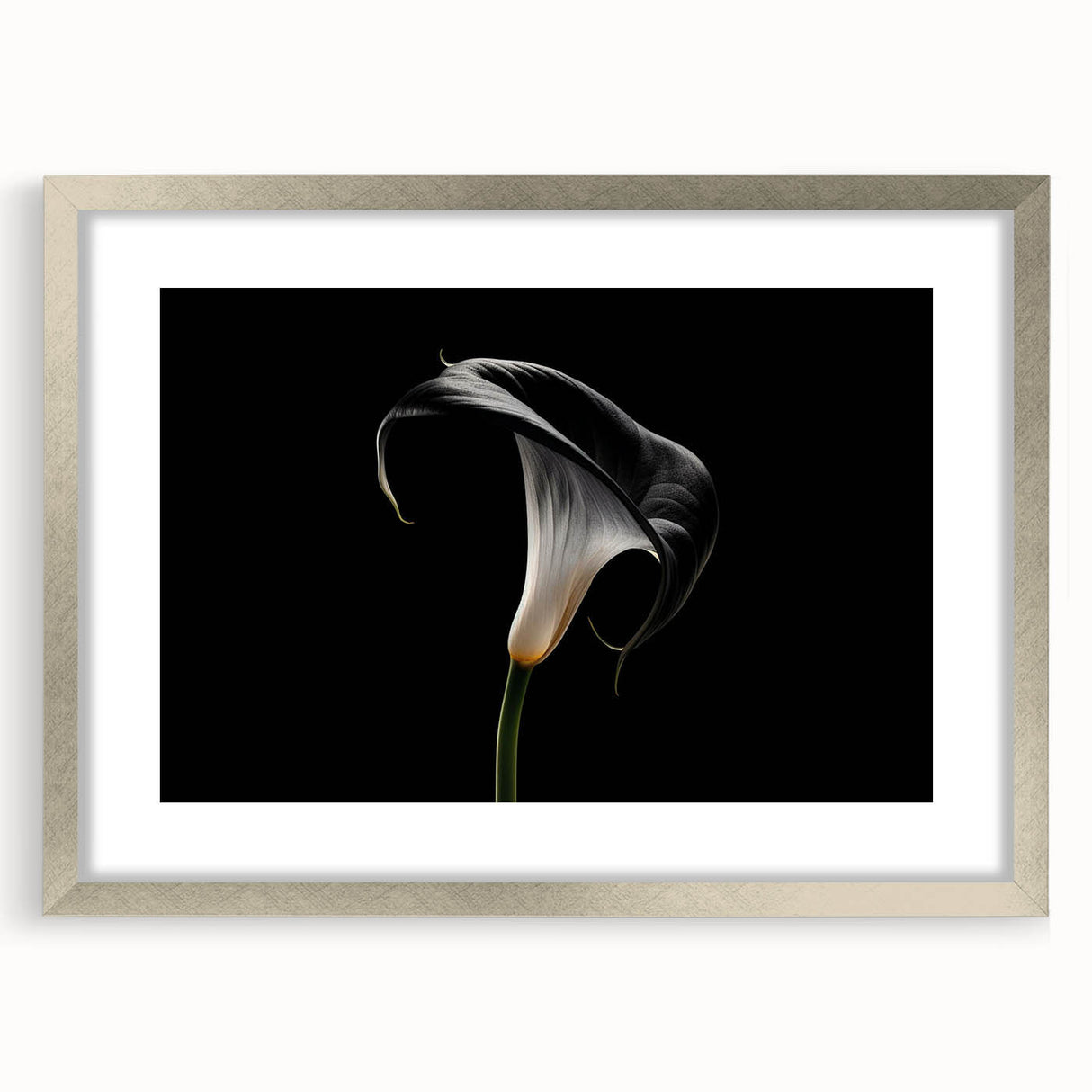 Botanical wall art collection featuring a silver-framed lily design with a mat, showcasing delicate floral details and elegant presentation. Ideal for home decor.
