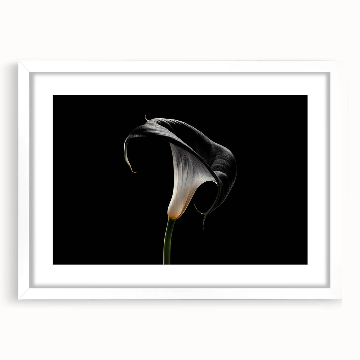 White-framed botanical wall art collection featuring a delicate lily design, ideal for home decor, with a sleek mat for an elegant touch. Perfect for flower enthusiasts.