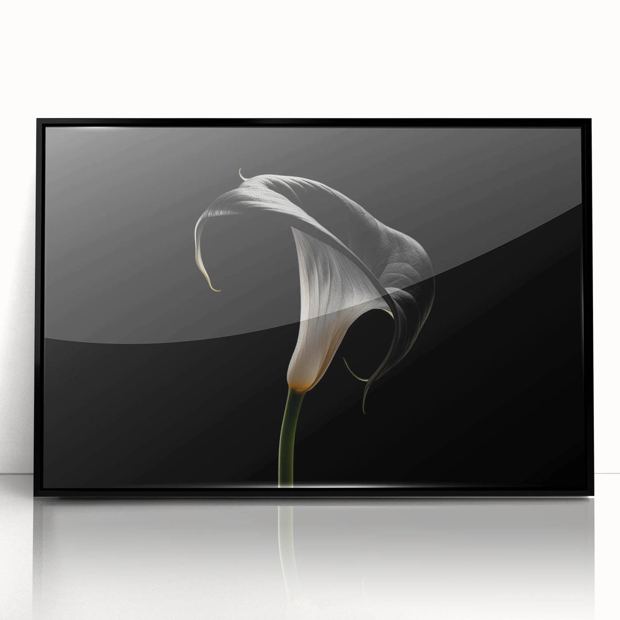 Framed botanical wall art featuring a detailed lily design in vibrant colors, set against a sleek black frame, perfect for home decor enhancement.