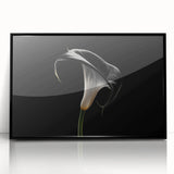 Framed botanical wall art featuring a detailed lily design in vibrant colors, set against a sleek black frame, perfect for home decor enhancement.
