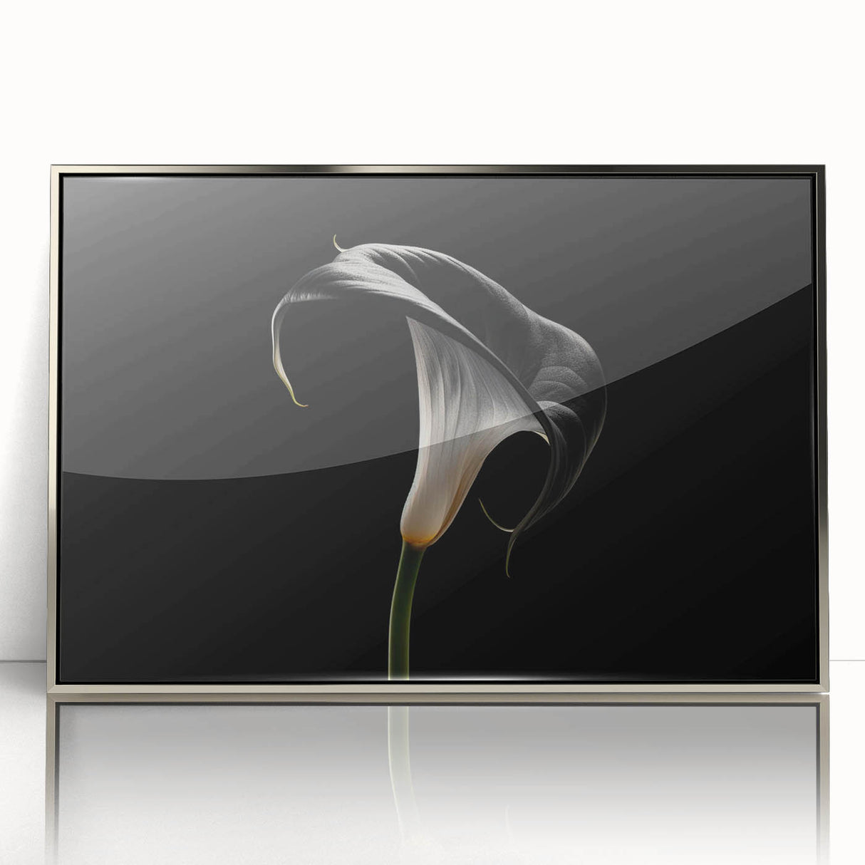 Framed wall art featuring an elegant botanical lily design in vibrant colors, displayed in a sleek silver frame, perfect for home decor and floral enthusiasts.