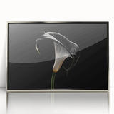 Framed wall art featuring an elegant botanical lily design in vibrant colors, displayed in a sleek silver frame, perfect for home decor and floral enthusiasts.