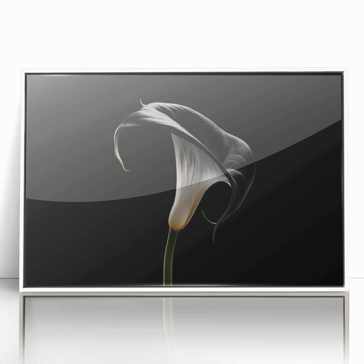 Framed wall art featuring a botanical lily design on a white background, showcasing vibrant colors and intricate details, perfect for home decor enhancement.