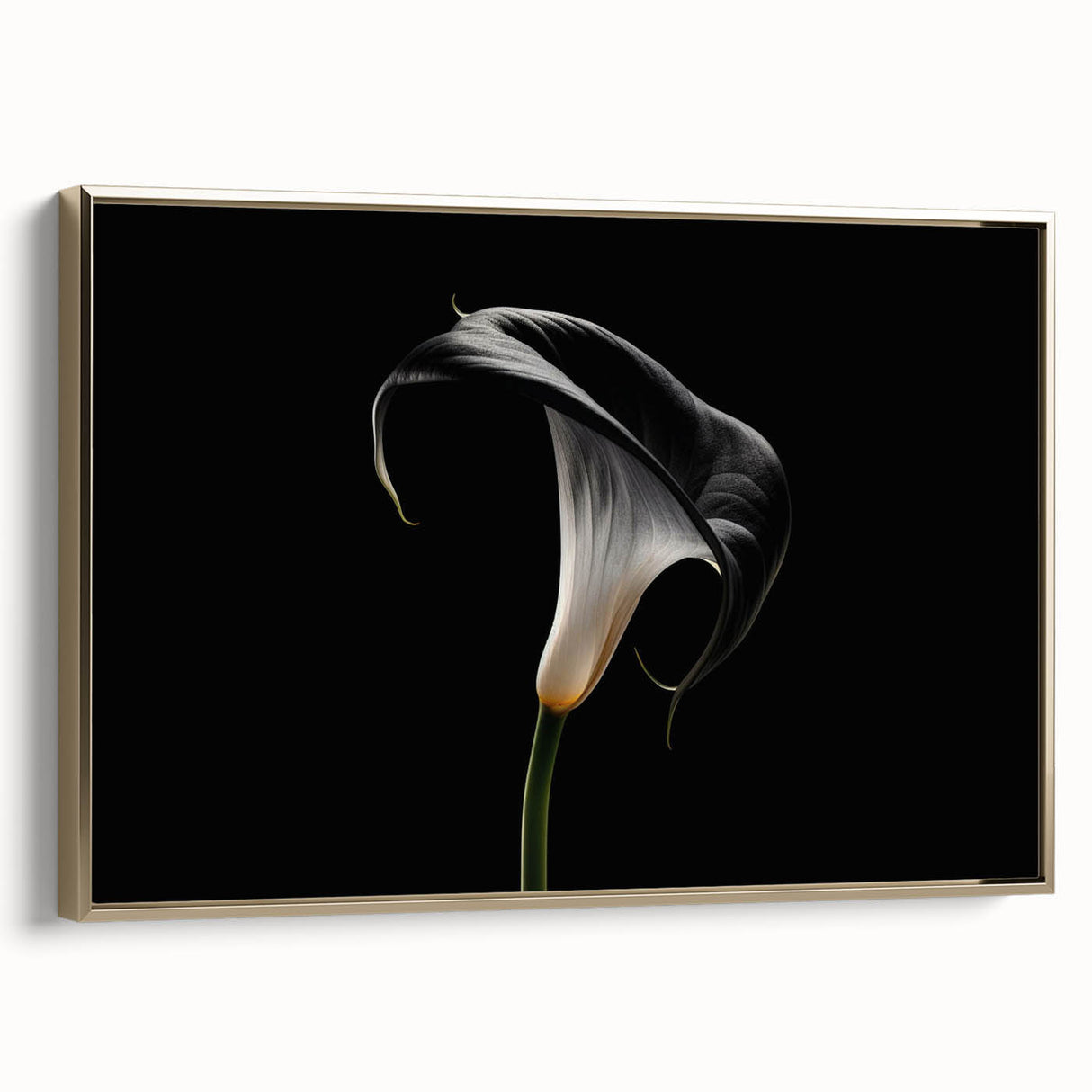 Framed canvas wall art featuring a botanical lily design with gold accents, showcasing vibrant colors and intricate details, perfect for enhancing home decor.