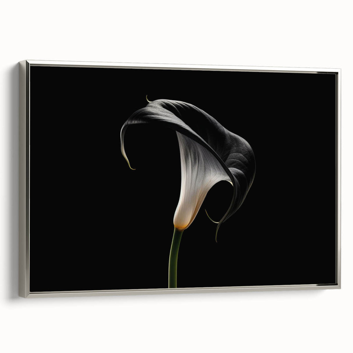 Framed wall art featuring a botanical lily design, showcasing intricate floral details in vibrant colors with a sleek silver frame, ideal for home decor.