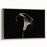 Framed wall art featuring a botanical lily design, showcasing intricate floral details in vibrant colors with a sleek silver frame, ideal for home decor.