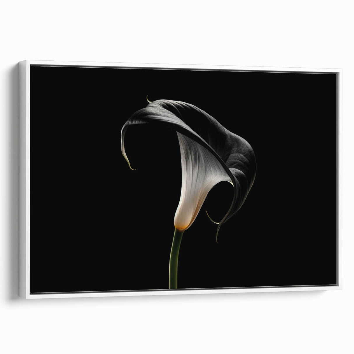 Framed canvas wall art featuring a botanical lily design, showcasing vibrant colors and intricate details, perfect for enhancing modern home decor.