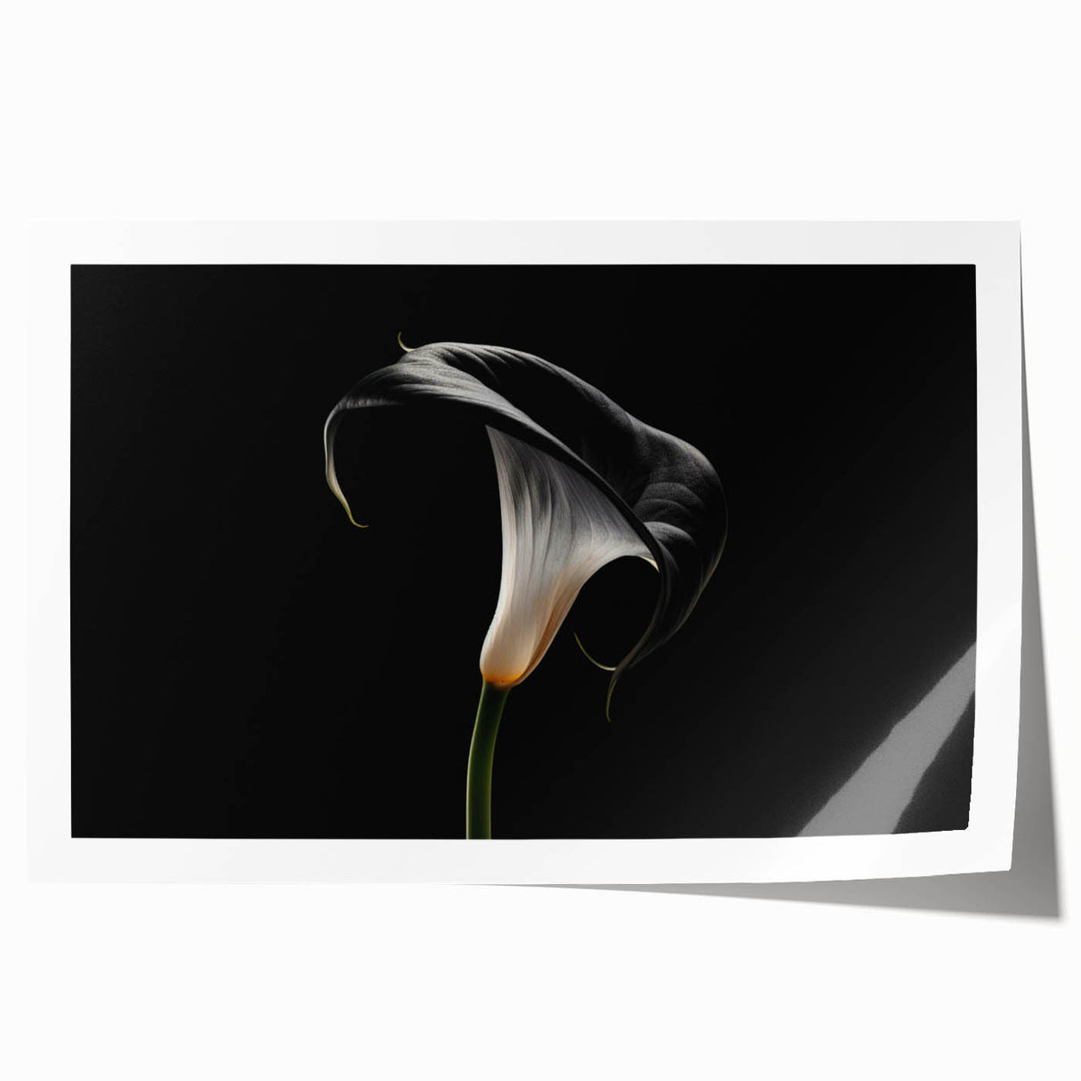 Vibrant botanical wall art featuring a detailed lily design, presented as a rolled print ideal for home decor, showcasing intricate floral patterns and colors.