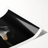 Botanical wall art featuring a detailed illustration of vibrant lilies in soft pastel colors, beautifully rolled for easy display, adding elegance to any room décor.