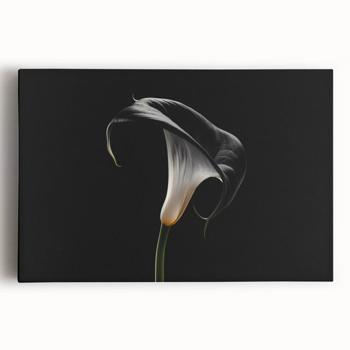 Stretched canvas wall art featuring a vibrant botanical lily design, showcasing rich colors and intricate details, perfect for enhancing home decor.