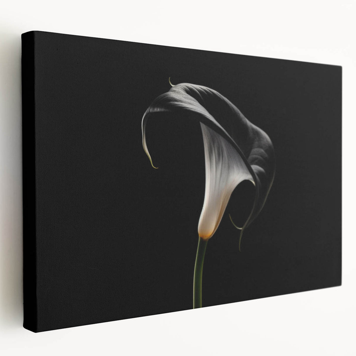 Stretched canvas wall art featuring a botanical lily design in vibrant colors, showcasing intricate floral details. Ideal for home decor, adding a touch of nature.