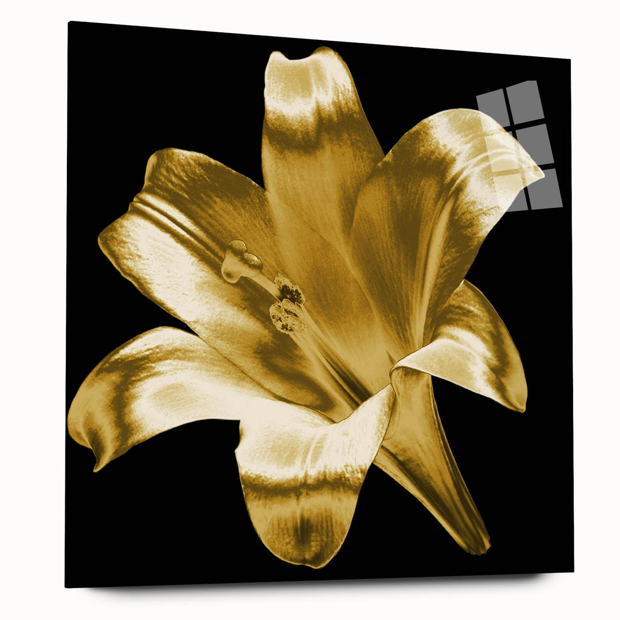 Acrylic wall art featuring a botanical lily design, showcasing vibrant colors and intricate details, displayed elegantly from a side view, highlighting its modern aesthetic. Perfect for adding a touch of nature-inspired decor to any space.