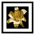 Black-framed wall art featuring a botanical lily design, showcasing vibrant colors against a neutral background, ideal for home decor and aesthetic enhancement.