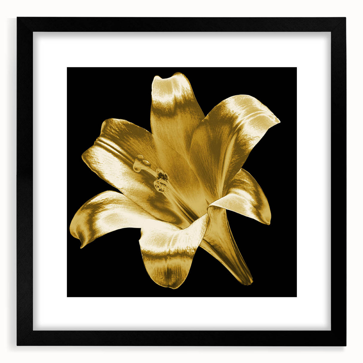 Black-framed wall art featuring a botanical lily design, showcasing vibrant colors against a neutral background, ideal for home decor and aesthetic enhancement.