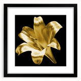 Black-framed wall art featuring a botanical lily design, showcasing vibrant colors against a neutral background, ideal for home decor and aesthetic enhancement.