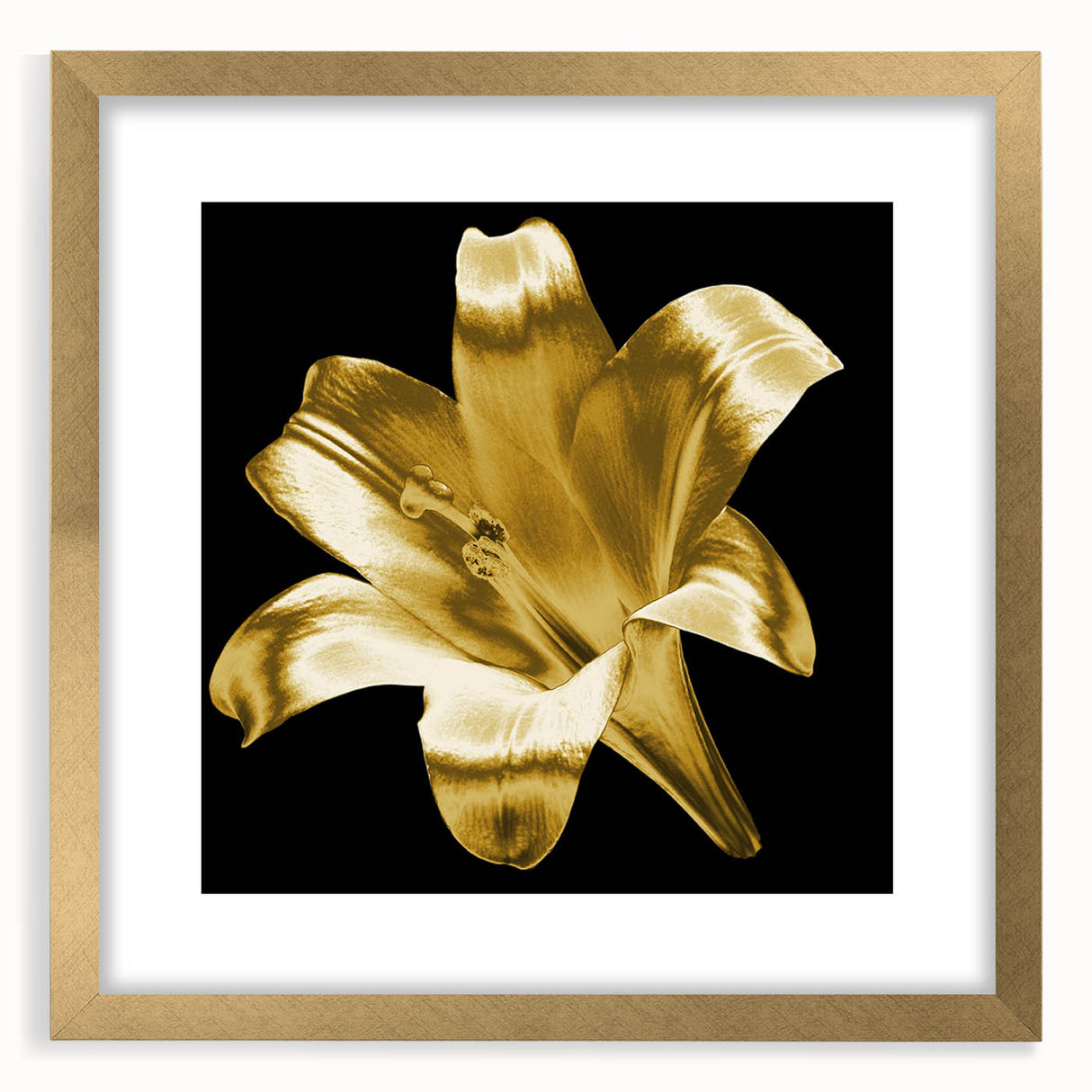 Beautiful gold-framed wall art featuring a botanical lily design, elegantly matted, showcasing intricate floral details and vibrant colors, perfect for home decor.
