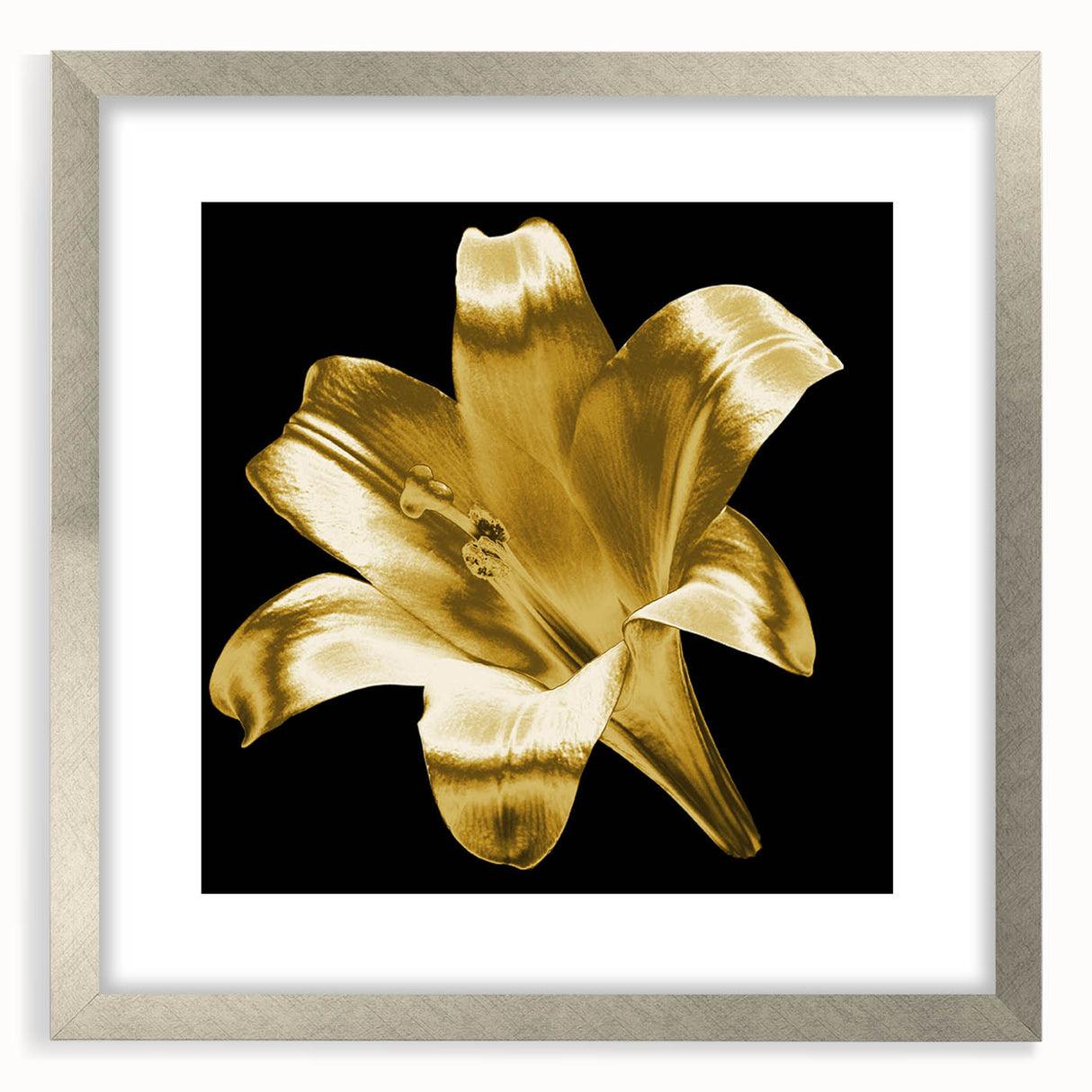 Botanical lily design wall art framed in silver with a mat, showcasing vibrant floral details against a light background, perfect for home decor.