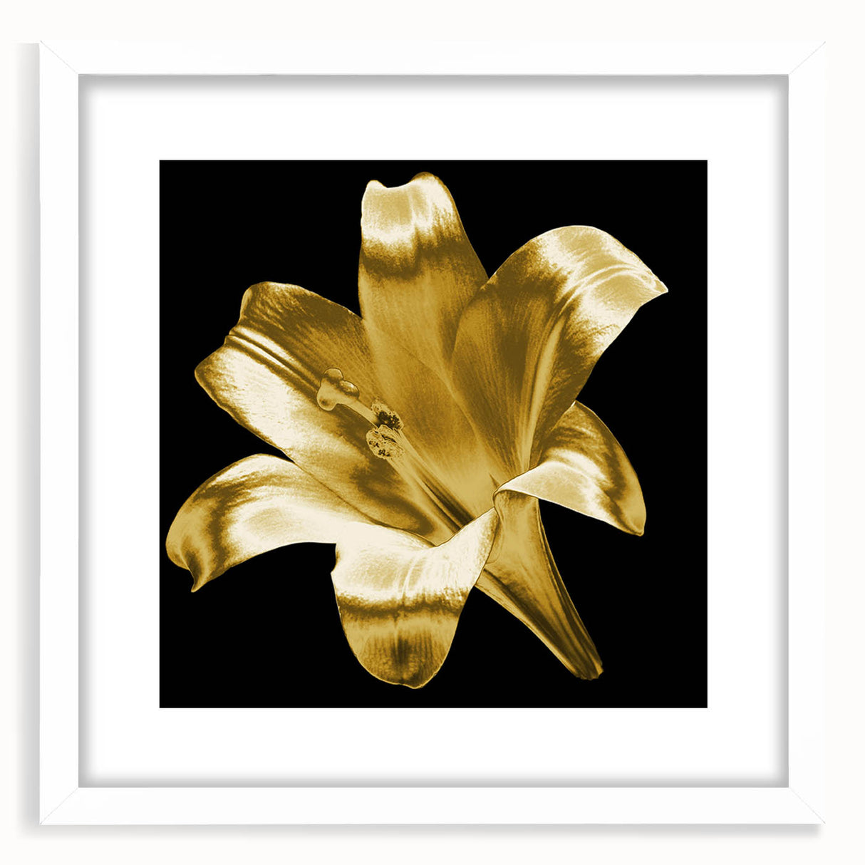 White-framed botanical wall art featuring a delicate lily design, showcasing intricate floral details and soft colors, ideal for home decor and nature enthusiasts.