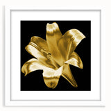 White-framed botanical wall art featuring a delicate lily design, showcasing intricate floral details and soft colors, ideal for home decor and nature enthusiasts.