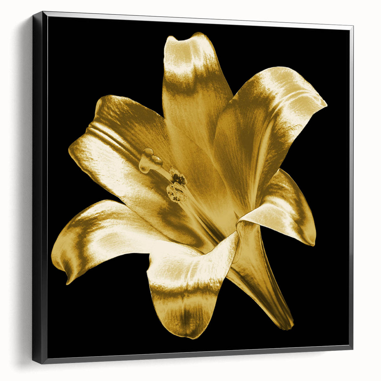 Framed canvas wall art showcasing a botanical lily design, featuring black framing and a side view perspective, perfect for enhancing home decor with nature-inspired elegance.