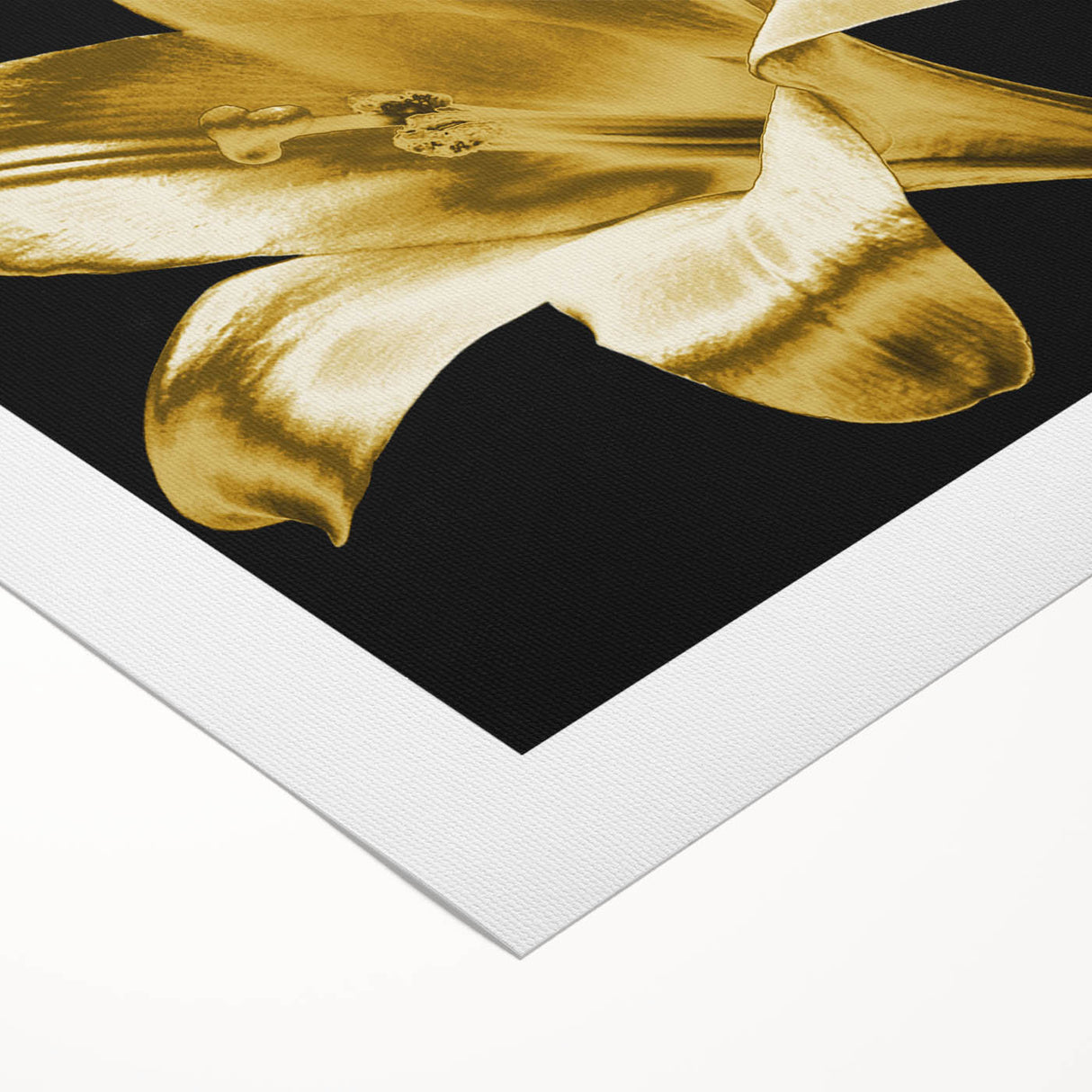 Vibrant botanical wall art design featuring a stunning lily illustration on rolled canvas, showcasing intricate details and rich colors, perfect for home decor enhancement.