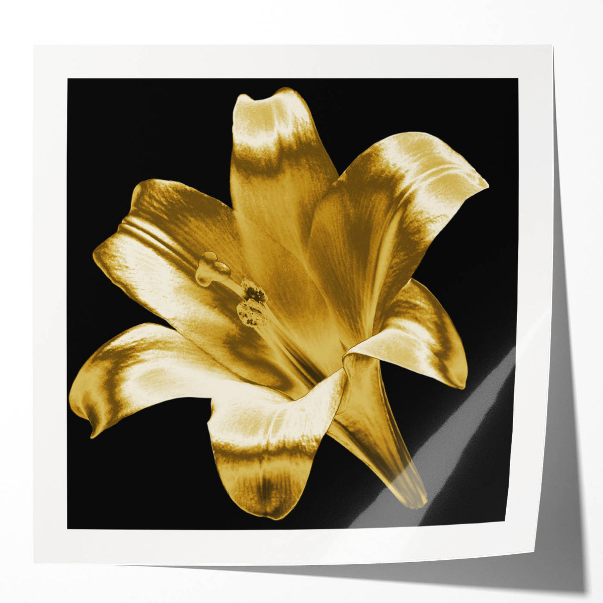 Botanical wall art featuring a vibrant lily design in soft pastels, elegantly rolled for display. Ideal for enhancing home décor or gifting.