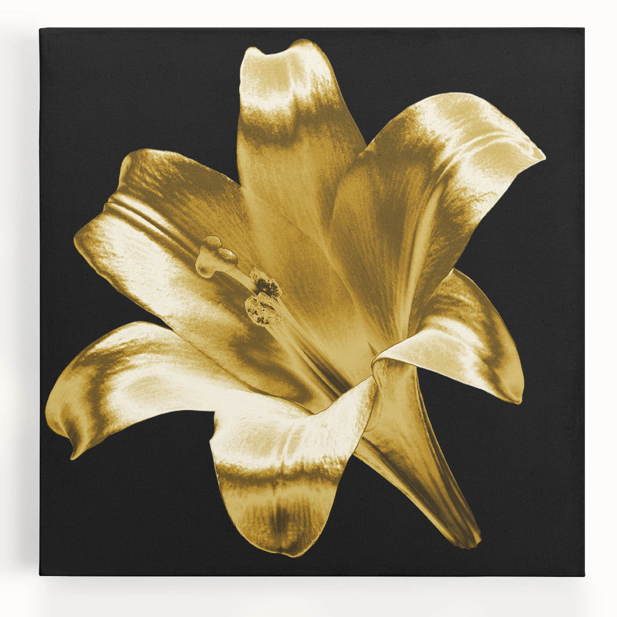 Stretched canvas wall art showcasing a vibrant botanical lily design with intricate details, perfect for enhancing contemporary home decor.