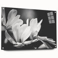 Elegant botanical wall art design featuring magnolia flowers, displayed in an acrylic glass frame with pins, showcasing vibrant colors and intricate details. Ideal for enhancing home decor with a touch of nature's beauty.