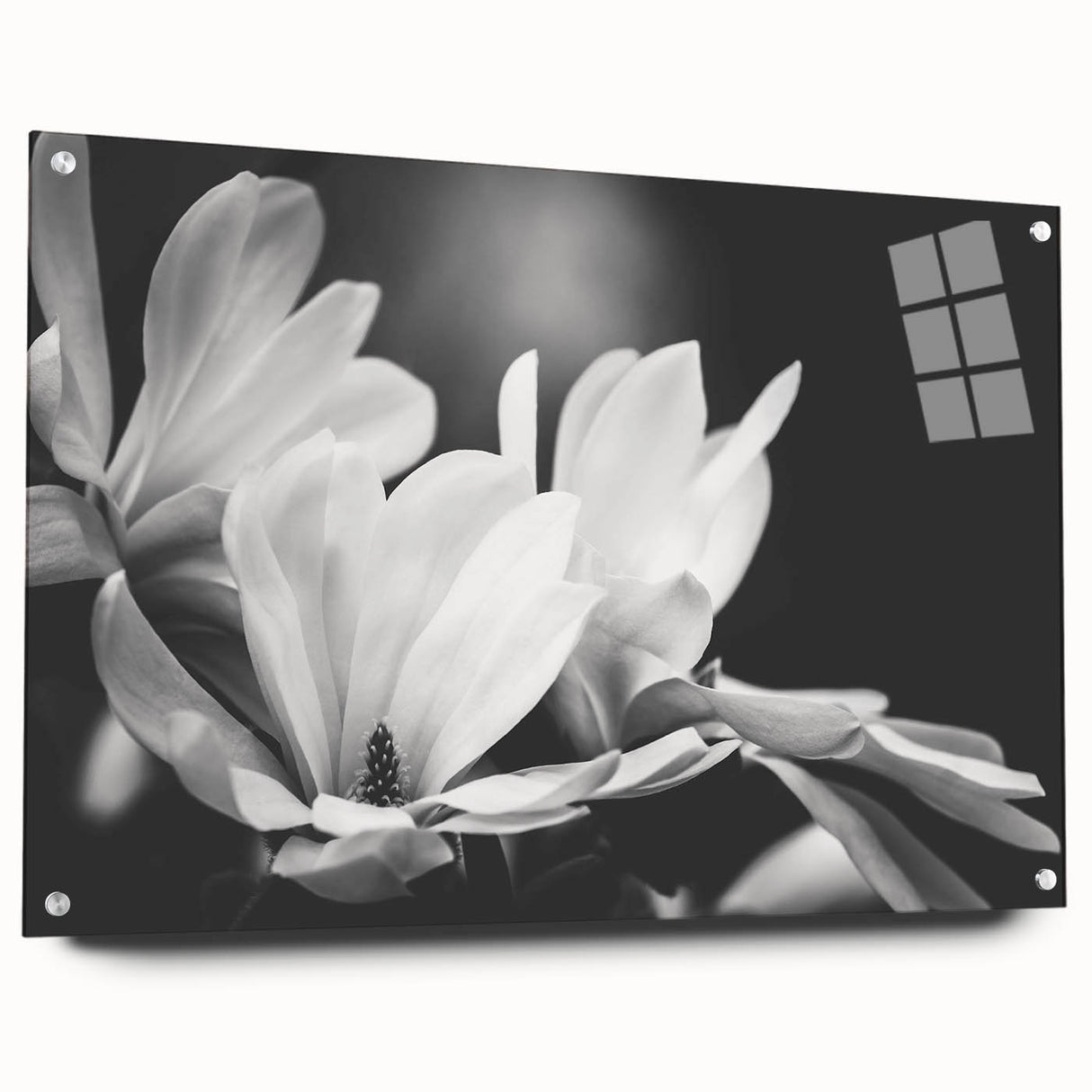 Elegant botanical wall art design featuring magnolia flowers, displayed in an acrylic glass frame with pins, showcasing vibrant colors and intricate details. Ideal for enhancing home decor with a touch of nature's beauty.