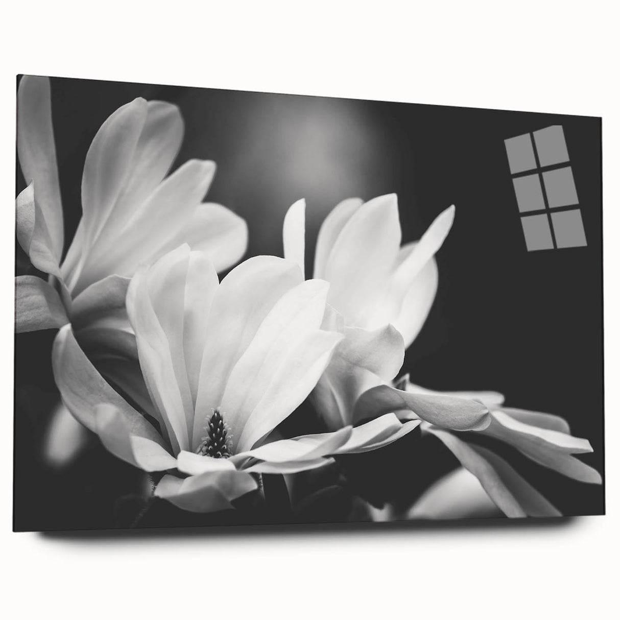 Acrylic wall art featuring a botanical magnolia design, showcased from the side with a clear glass finish. The artwork highlights vibrant floral patterns and elegant details, perfect for home decor.