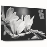 Acrylic wall art featuring a botanical magnolia design, showcased from the side with a clear glass finish. The artwork highlights vibrant floral patterns and elegant details, perfect for home decor.