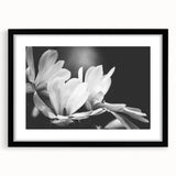 Elegant botanical wall art featuring a magnolia design in a black frame with mat, showcasing intricate floral details ideal for home decor. Perfect for nature lovers.