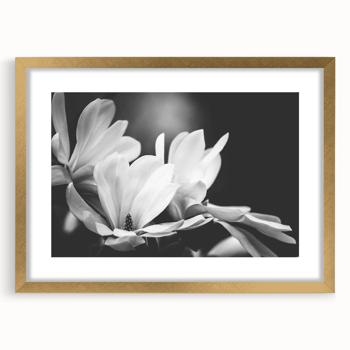 Elegant framed botanical wall art featuring a detailed magnolia design, set in a gold frame with matting, perfect for enhancing home decor.