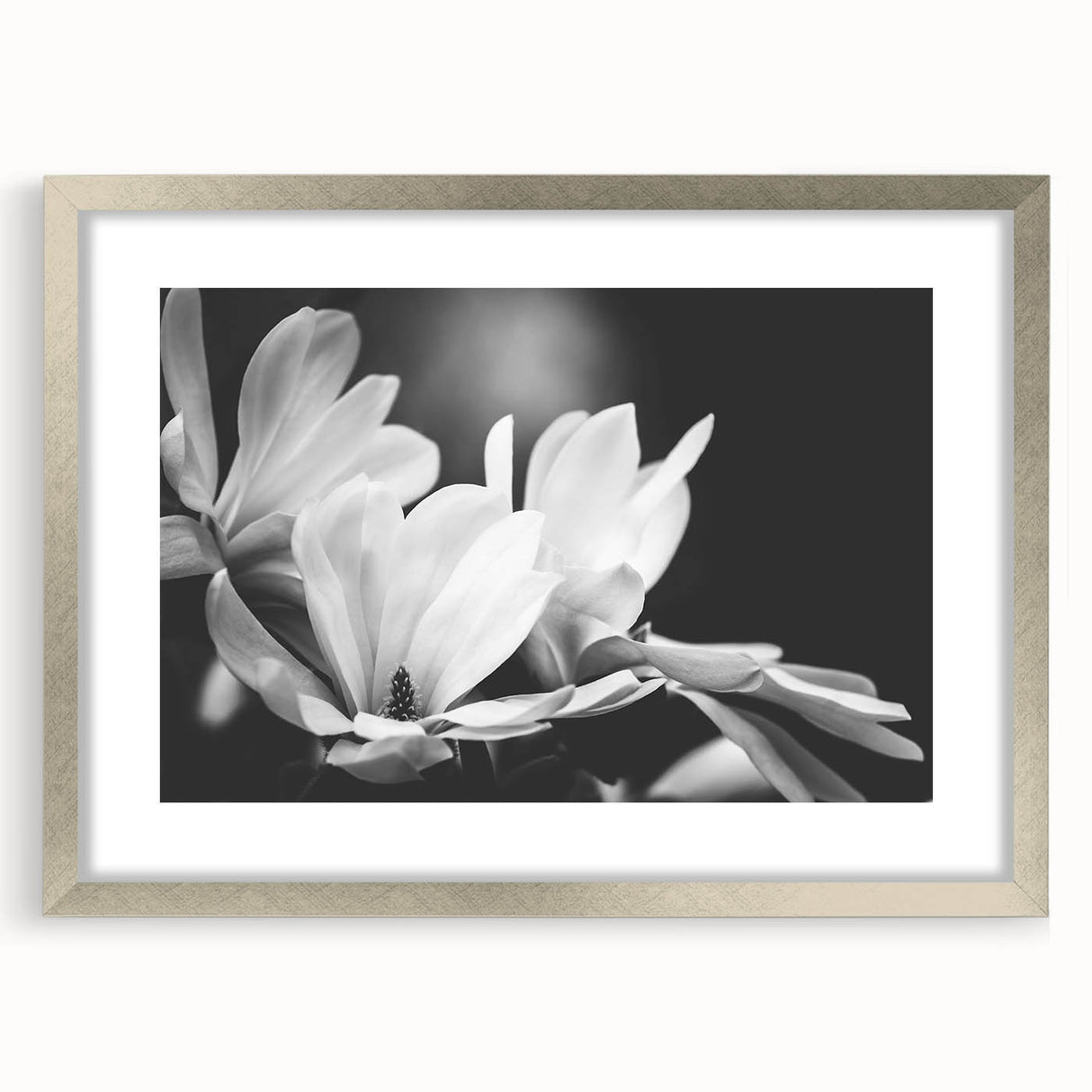 Framed botanical wall art showcasing a delicate magnolia design in silver tones, complete with a mat, perfect for enhancing home decor with elegance.