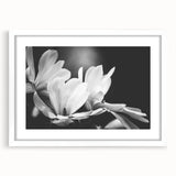 Botanical wall art featuring a magnolia design, framed in white with a mat, showcasing intricate floral details perfect for home decor and nature enthusiasts.