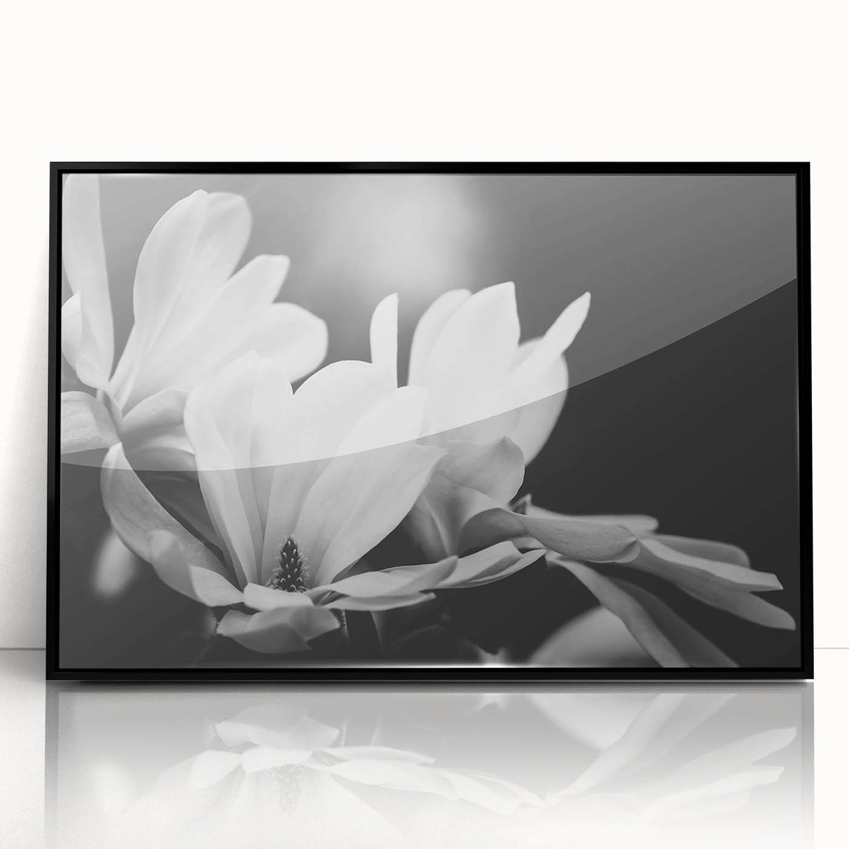 Framed wall art featuring a botanical magnolia design with black accents, showcasing delicate white flowers against a sleek black background, perfect for modern decor.